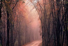 广西的矿产有哪些，广西最具优势的矿产资源